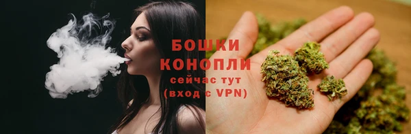 ALPHA-PVP Каменка
