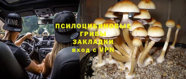 гидропоника Зеленодольск