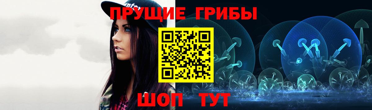 Кашира  Псилоцибиновые грибы GOLDEN TEACHER  Галлюциногенные грибы Psilocybe  Вход с VPN 