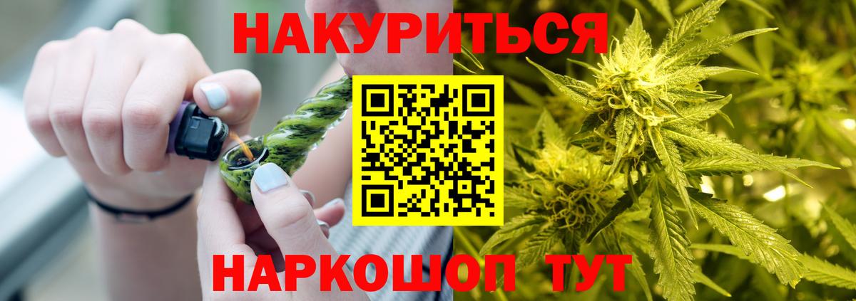 Канабис гибрид Кашира